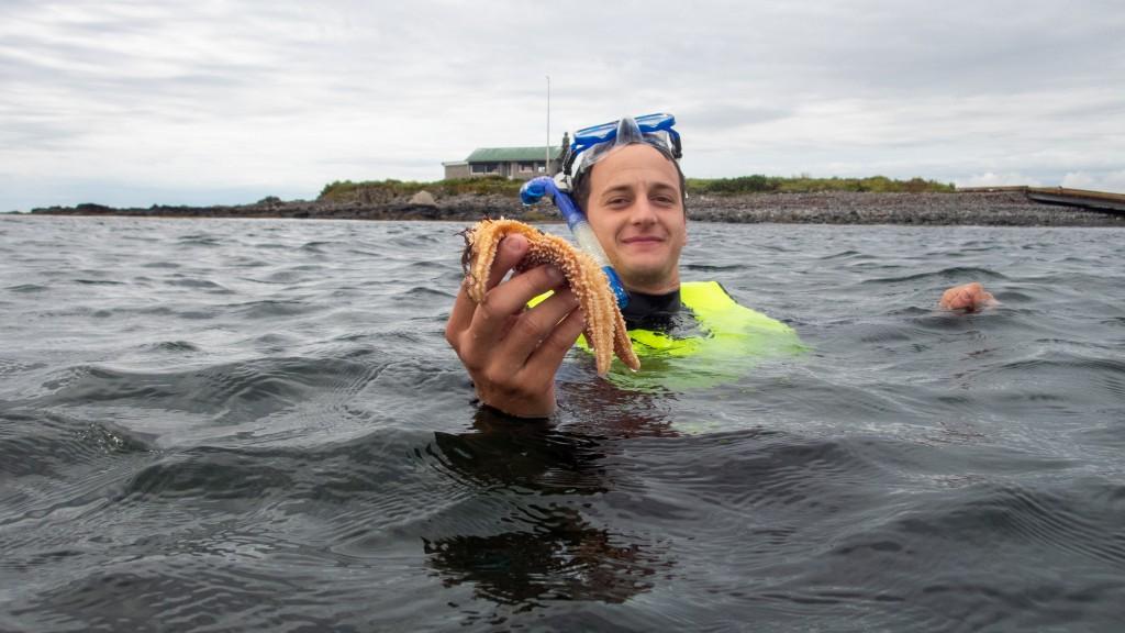 A student holds a starfish while scuba diving