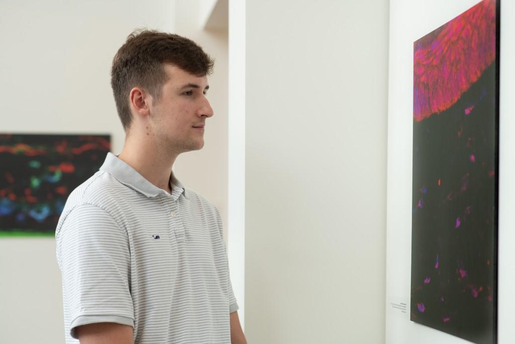 U N E student Dawson Durcotte looks at a painting in the Biddeford campus art gallery